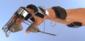 #13 Combination Coiled Oppenheimer with Knuckle Bender